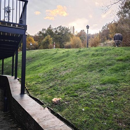 Villa R'Arco - Tucasaenlospirineos Escarrilla Kültér fotó